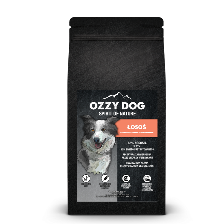 OZZY DOG ŁOSOŚ SZCZENIAK